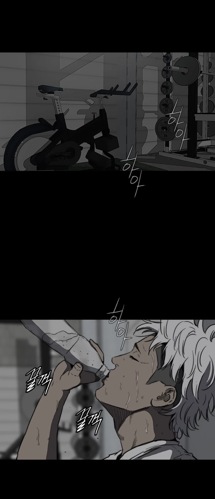 Read Wind Breaker TR Manga Online