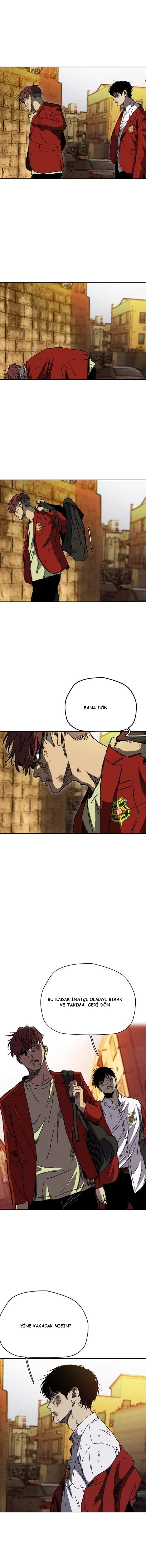 Read Wind Breaker TR Manga Online
