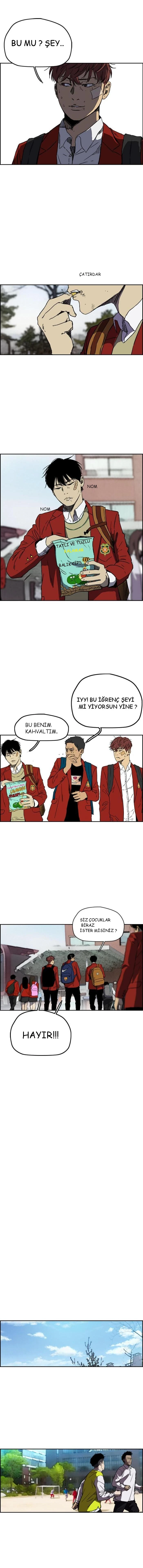 Read Wind Breaker TR Manga Online