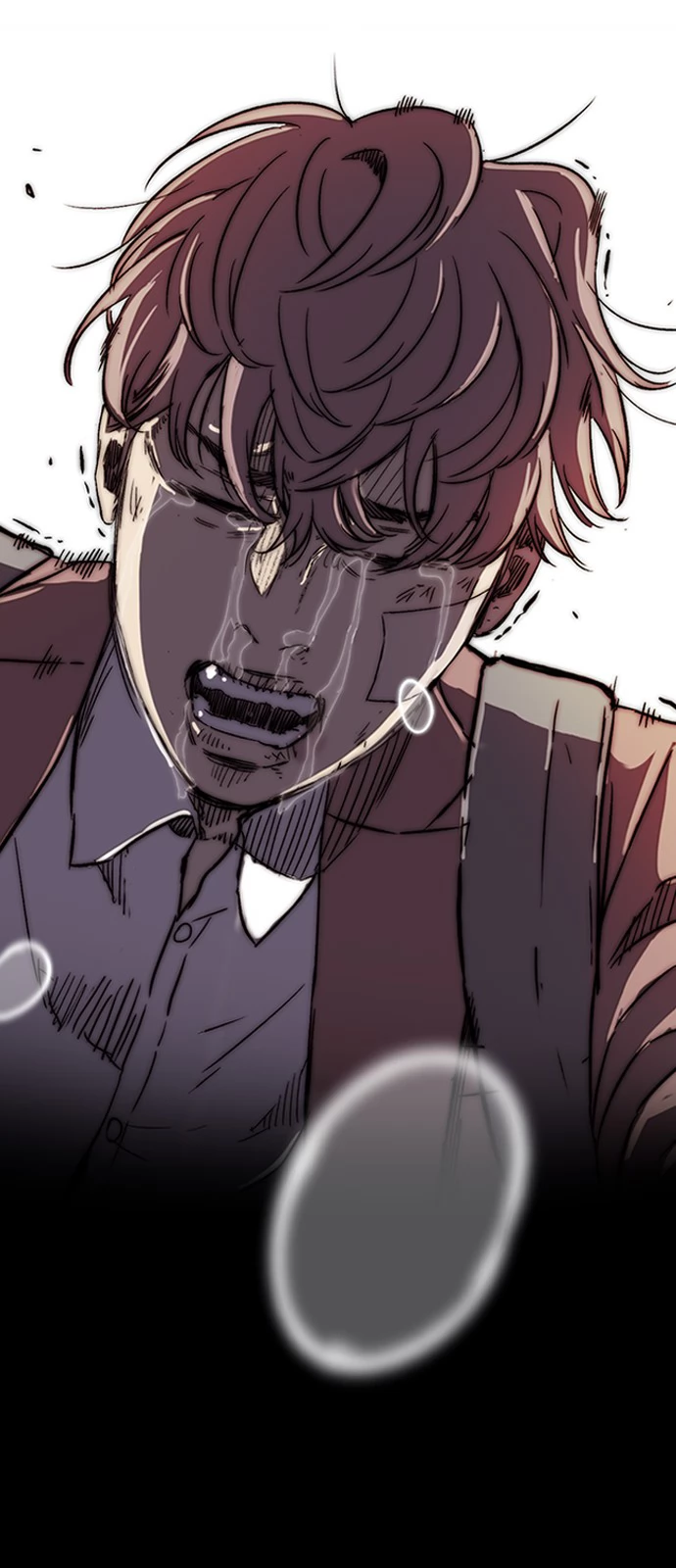 Read Wind Breaker TR Manga Online