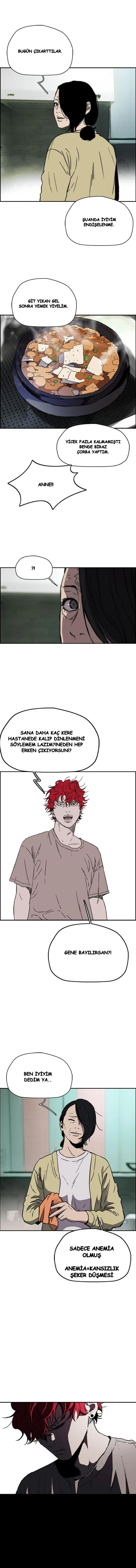 Read Wind Breaker TR Manga Online