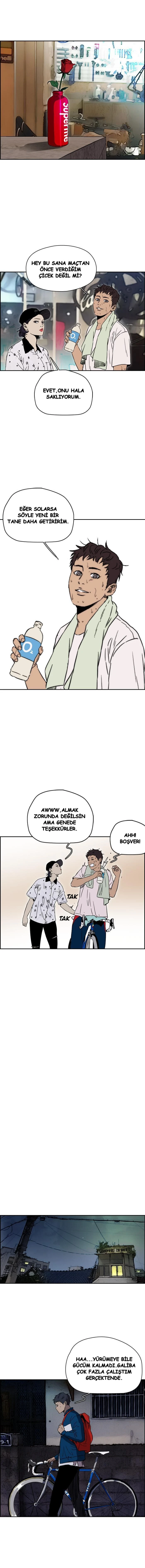 Read Wind Breaker TR Manga Online