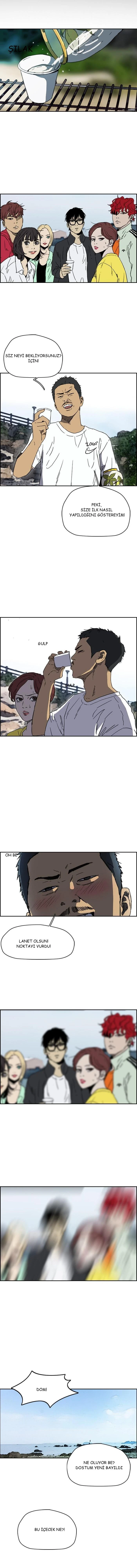 Read Wind Breaker TR Manga Online