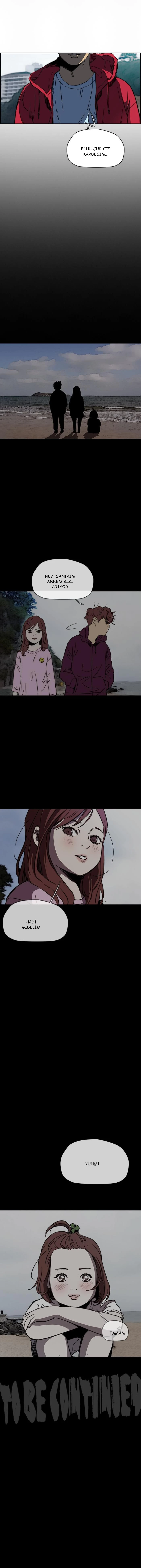 Read Wind Breaker TR Manga Online