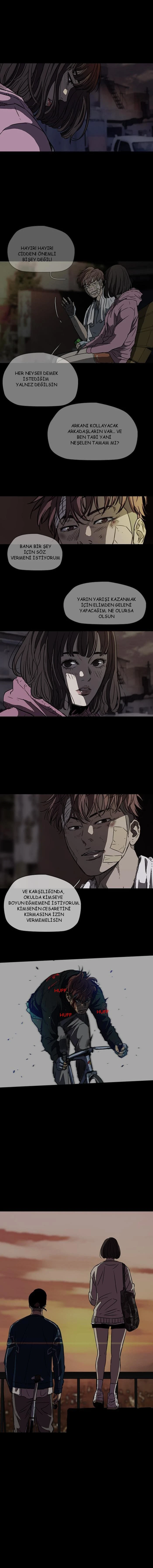Read Wind Breaker TR Manga Online