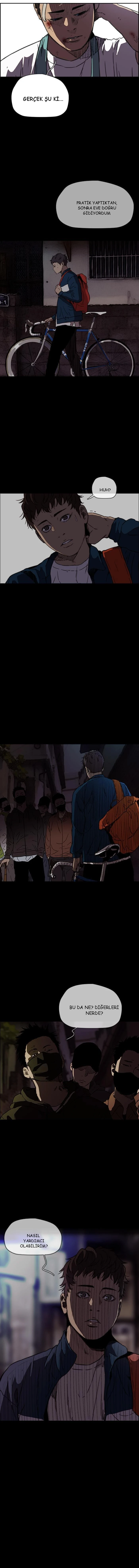 Read Wind Breaker TR Manga Online