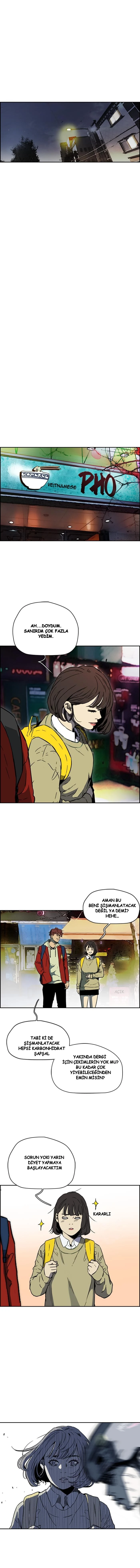 Read Wind Breaker TR Manga Online