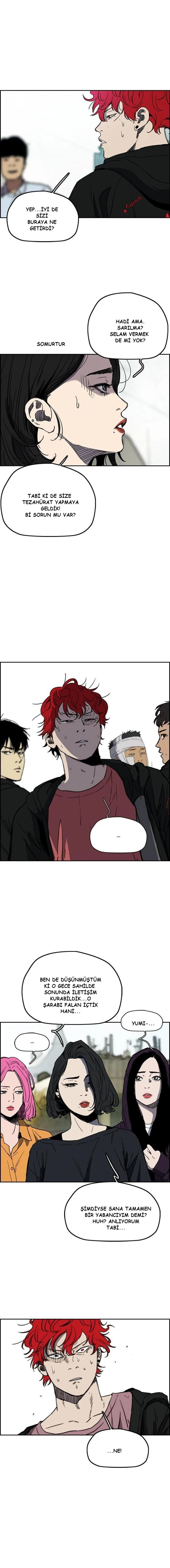 Read Wind Breaker TR Manga Online