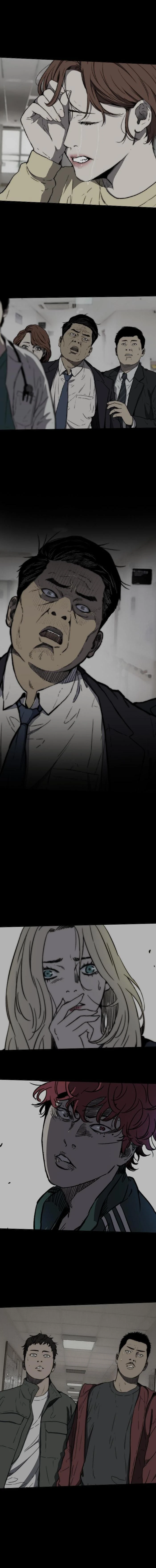 Read Wind Breaker TR Manga Online