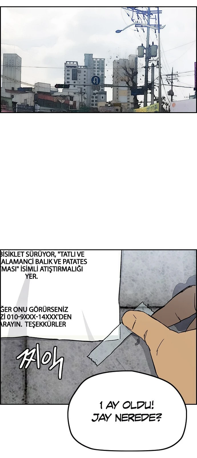 Read Wind Breaker TR Manga Online
