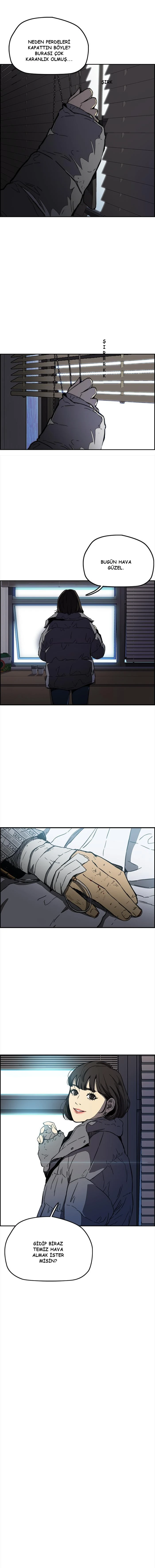 Read Wind Breaker TR Manga Online