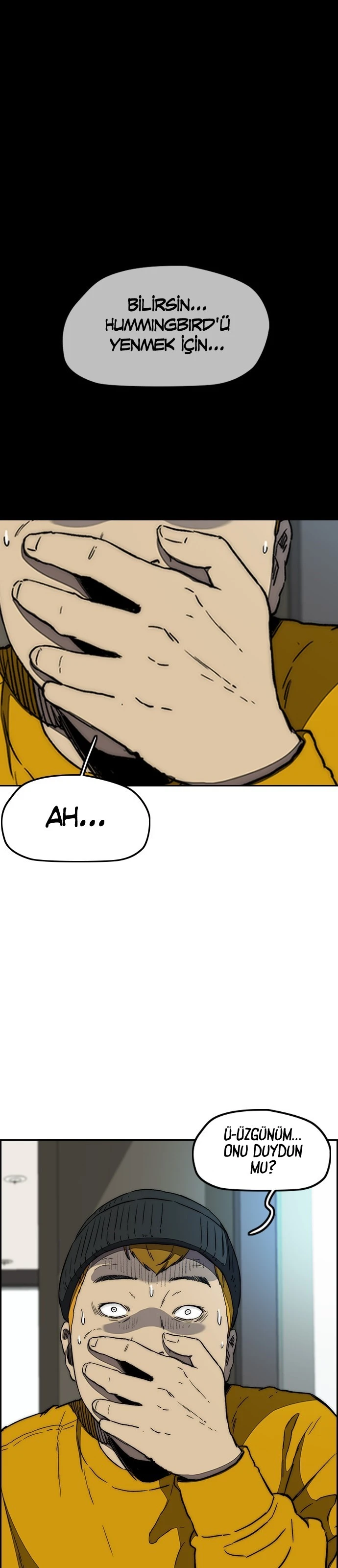 Read Wind Breaker TR Manga Online