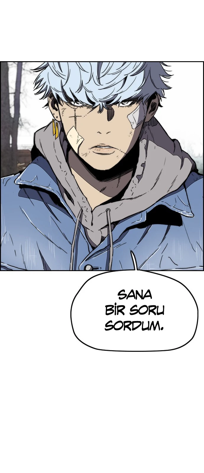 Read Wind Breaker TR Manga Online