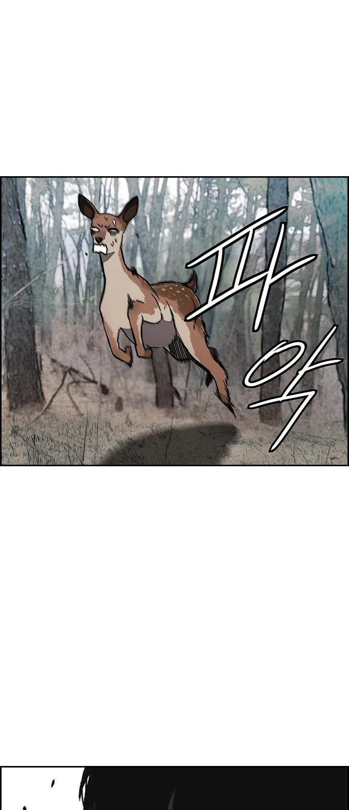 Read Wind Breaker TR Manga Online