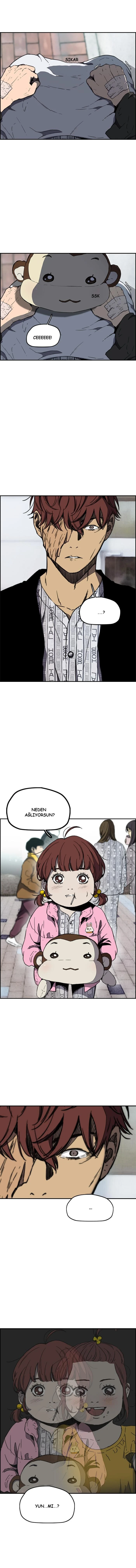 Read Wind Breaker TR Manga Online