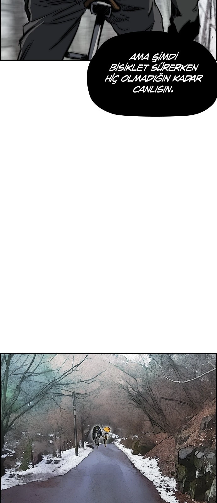 Read Wind Breaker TR Manga Online