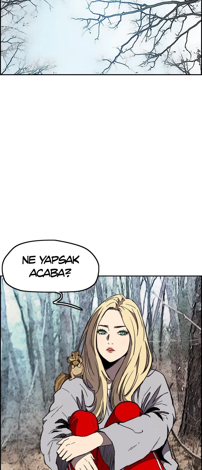 Read Wind Breaker TR Manga Online