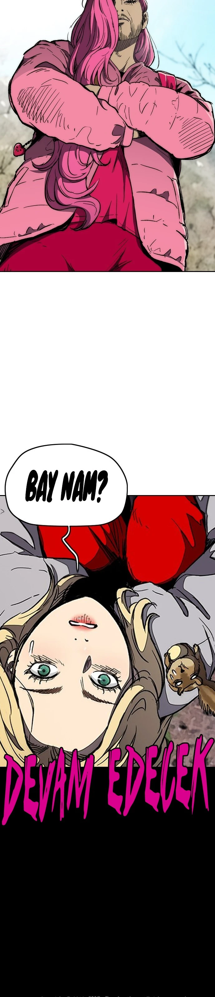Read Wind Breaker TR Manga Online