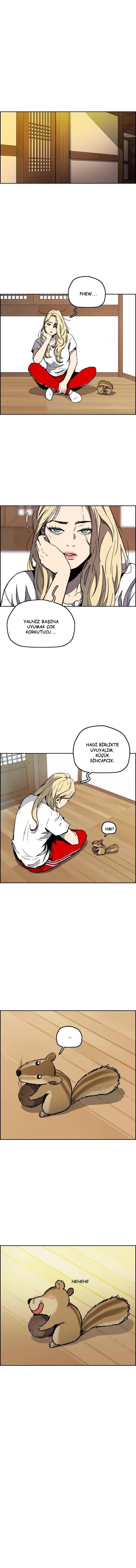 Read Wind Breaker TR Manga Online