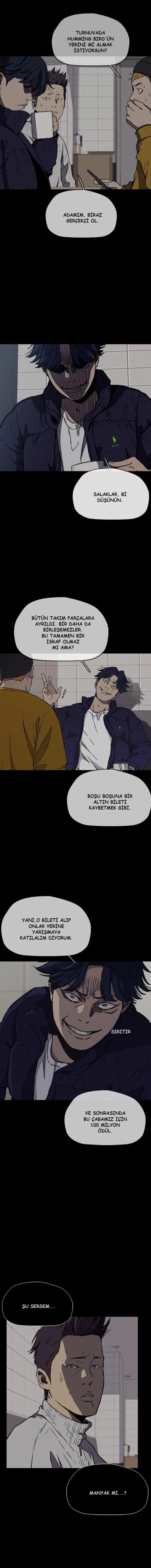 Read Wind Breaker TR Manga Online
