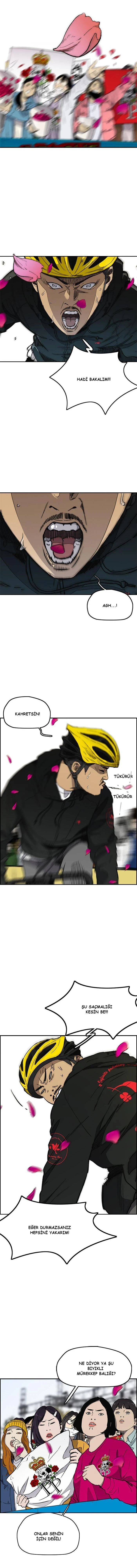 Read Wind Breaker TR Manga Online