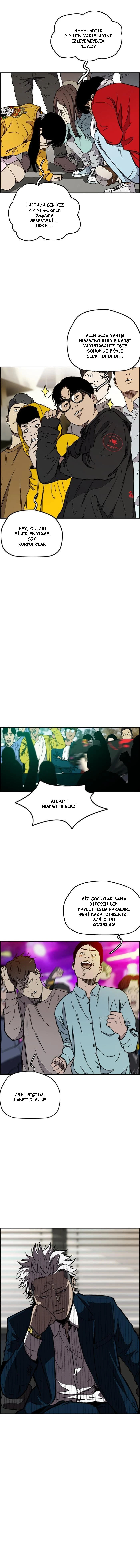Read Wind Breaker TR Manga Online
