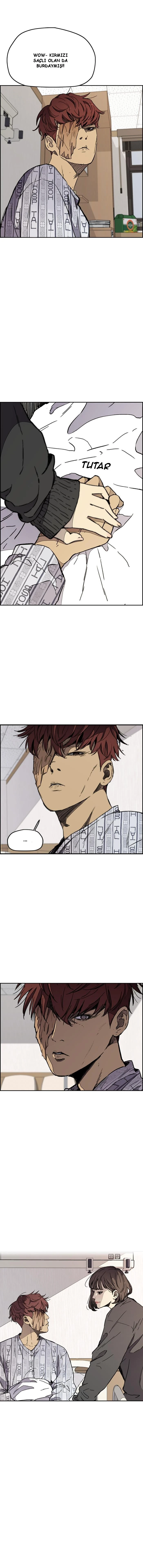 Read Wind Breaker TR Manga Online