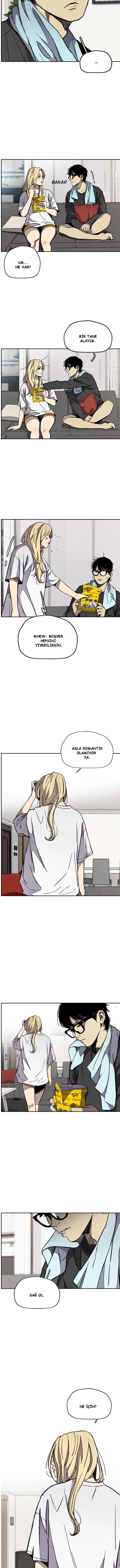 Read Wind Breaker TR Manga Online