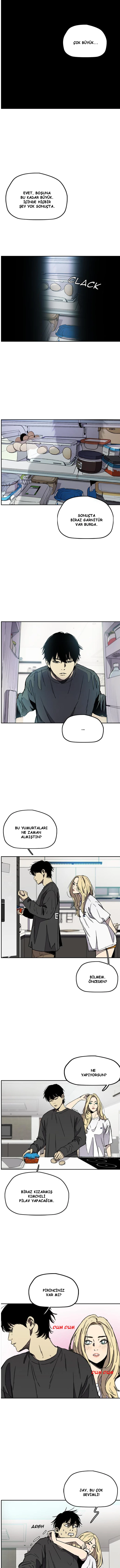 Read Wind Breaker TR Manga Online