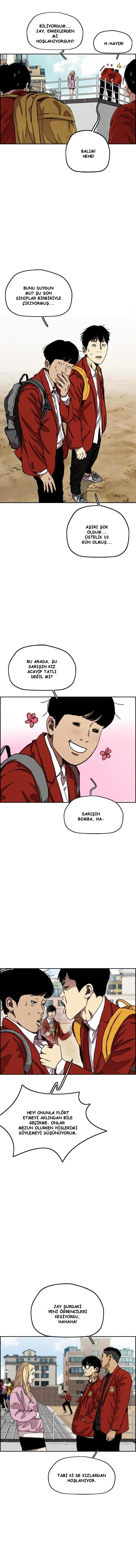Read Wind Breaker TR Manga Online