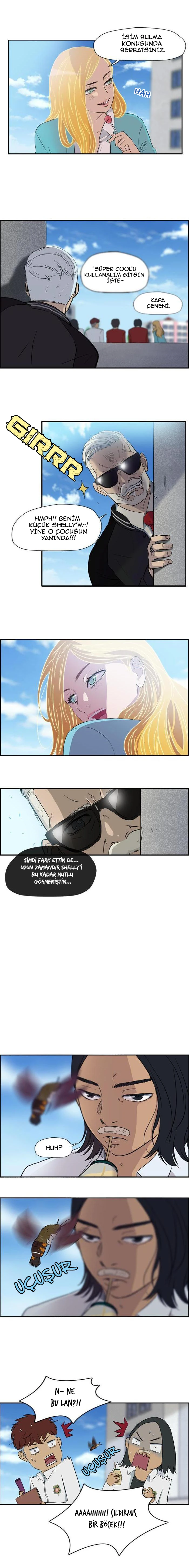 Read Wind Breaker TR Manga Online