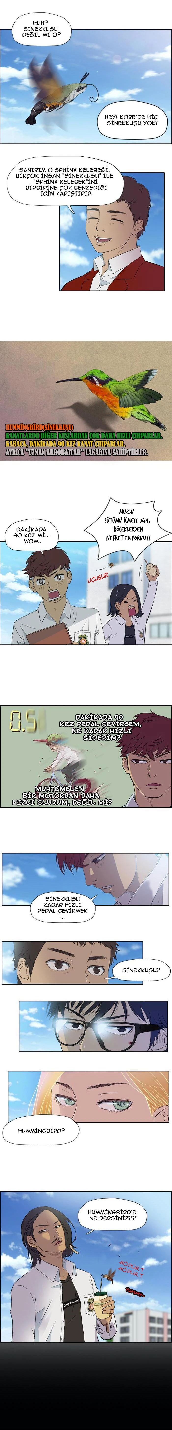 Read Wind Breaker TR Manga Online