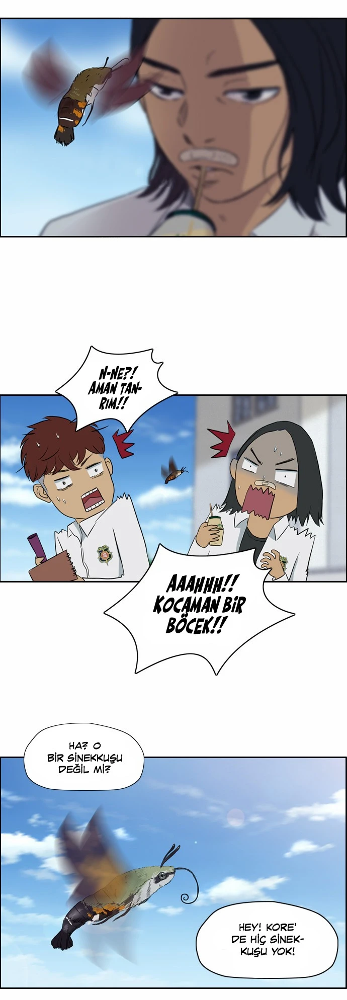 Read Wind Breaker TR Manga Online