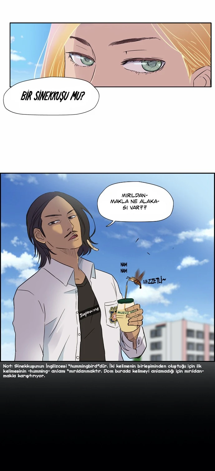 Read Wind Breaker TR Manga Online