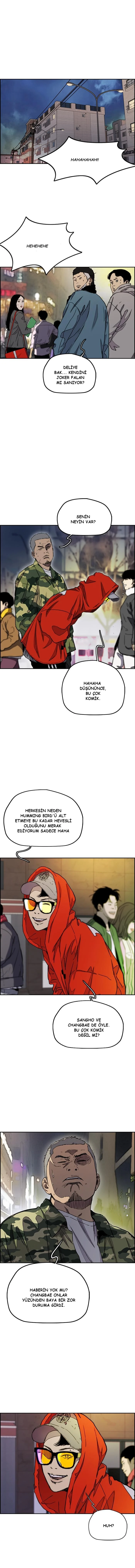 Read Wind Breaker TR Manga Online