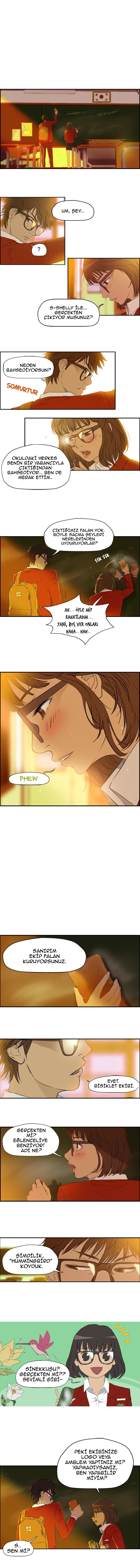 Read Wind Breaker TR Manga Online