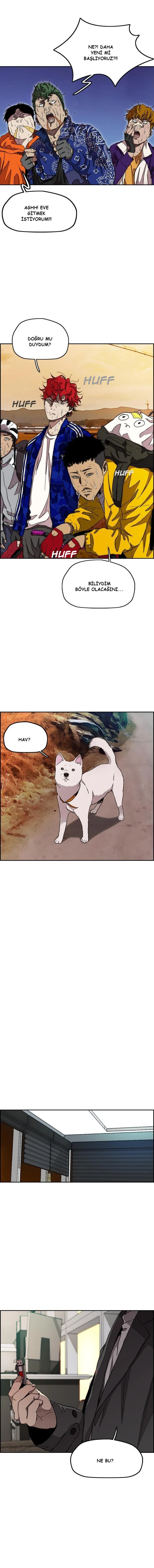 Read Wind Breaker TR Manga Online