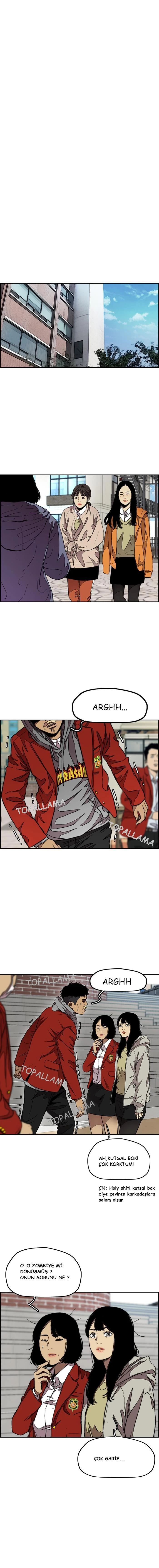 Read Wind Breaker TR Manga Online