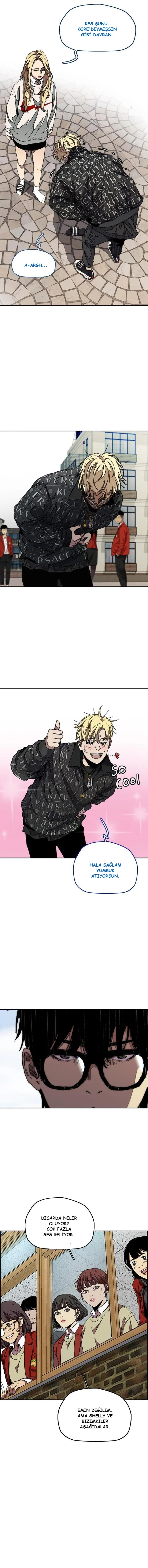 Read Wind Breaker TR Manga Online