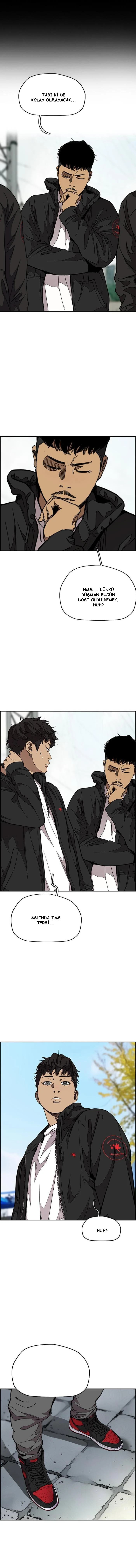 Read Wind Breaker TR Manga Online