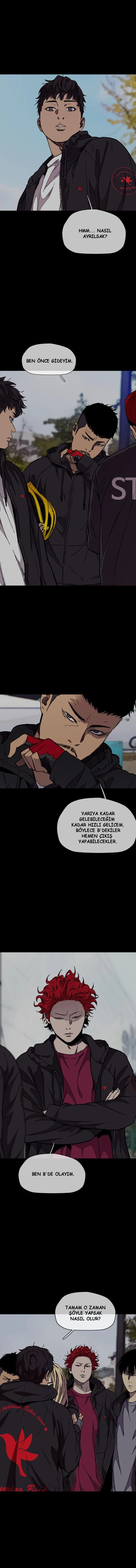 Read Wind Breaker TR Manga Online