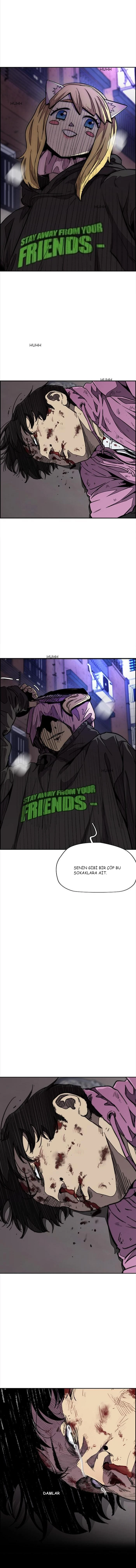 Read Wind Breaker TR Manga Online