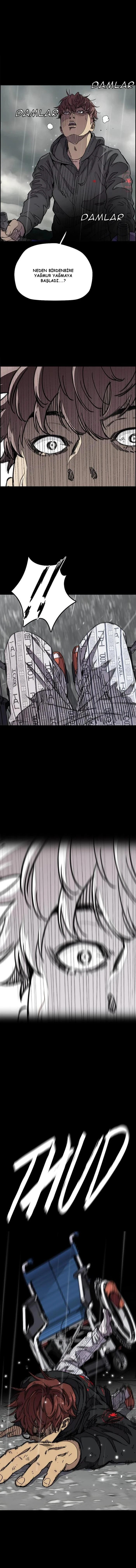 Read Wind Breaker TR Manga Online