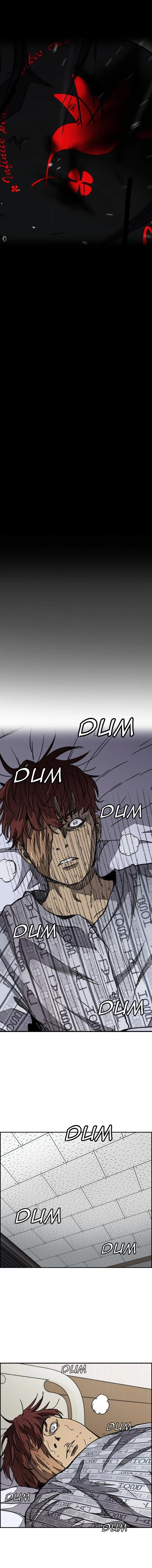 Read Wind Breaker TR Manga Online
