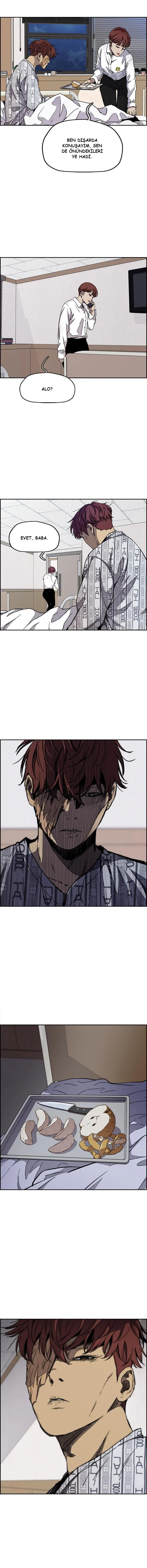 Read Wind Breaker TR Manga Online
