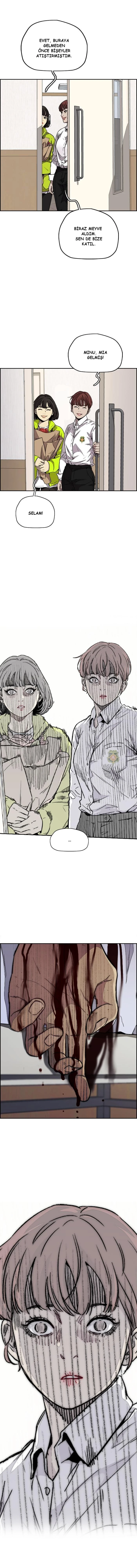 Read Wind Breaker TR Manga Online