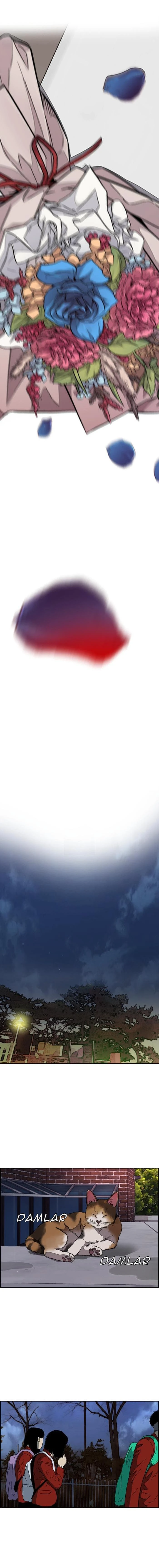 Read Wind Breaker TR Manga Online