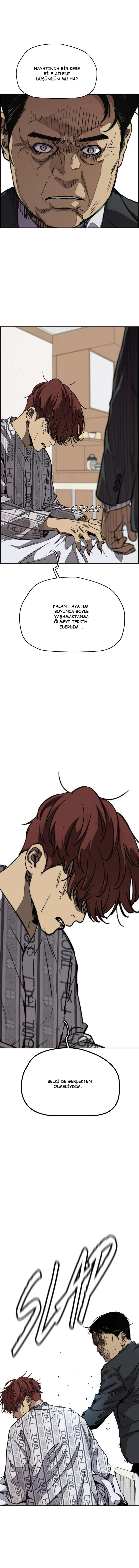 Read Wind Breaker TR Manga Online