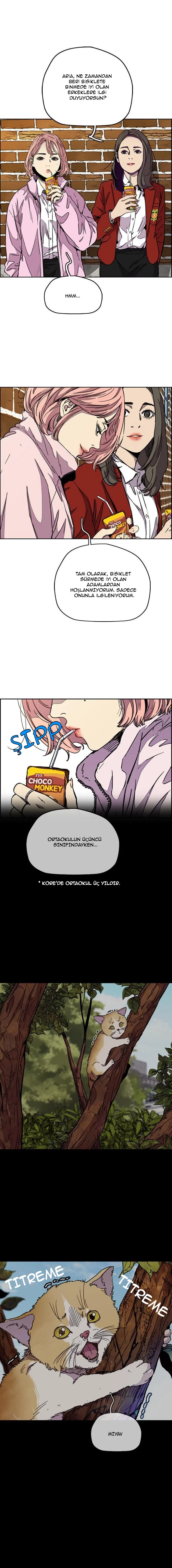 Read Wind Breaker TR Manga Online