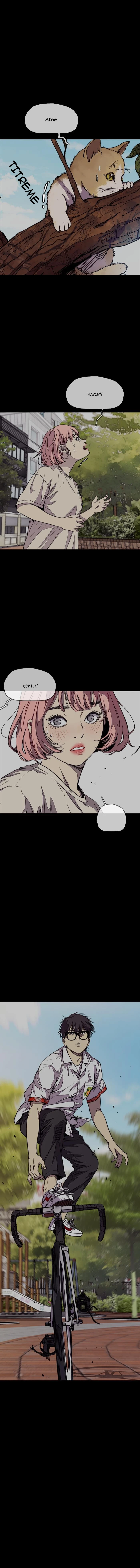 Read Wind Breaker TR Manga Online